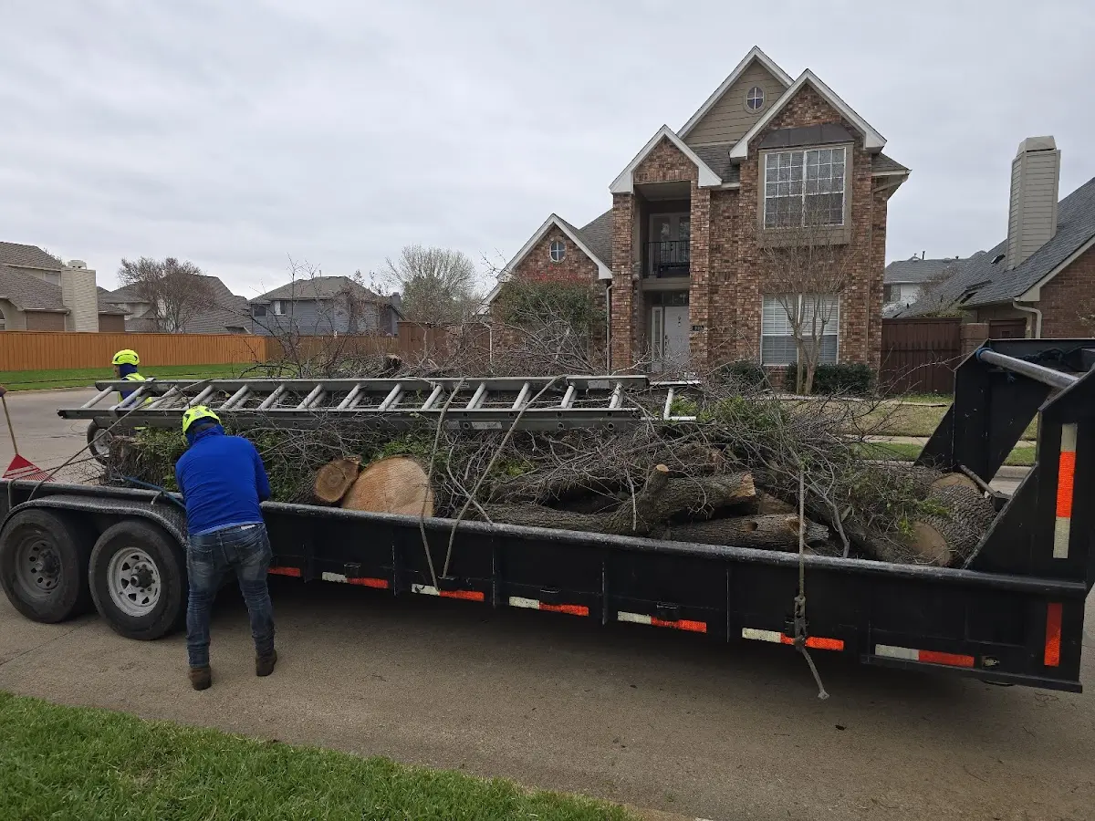Expert Tree Fertilization with proper safety equipment in Porterdale